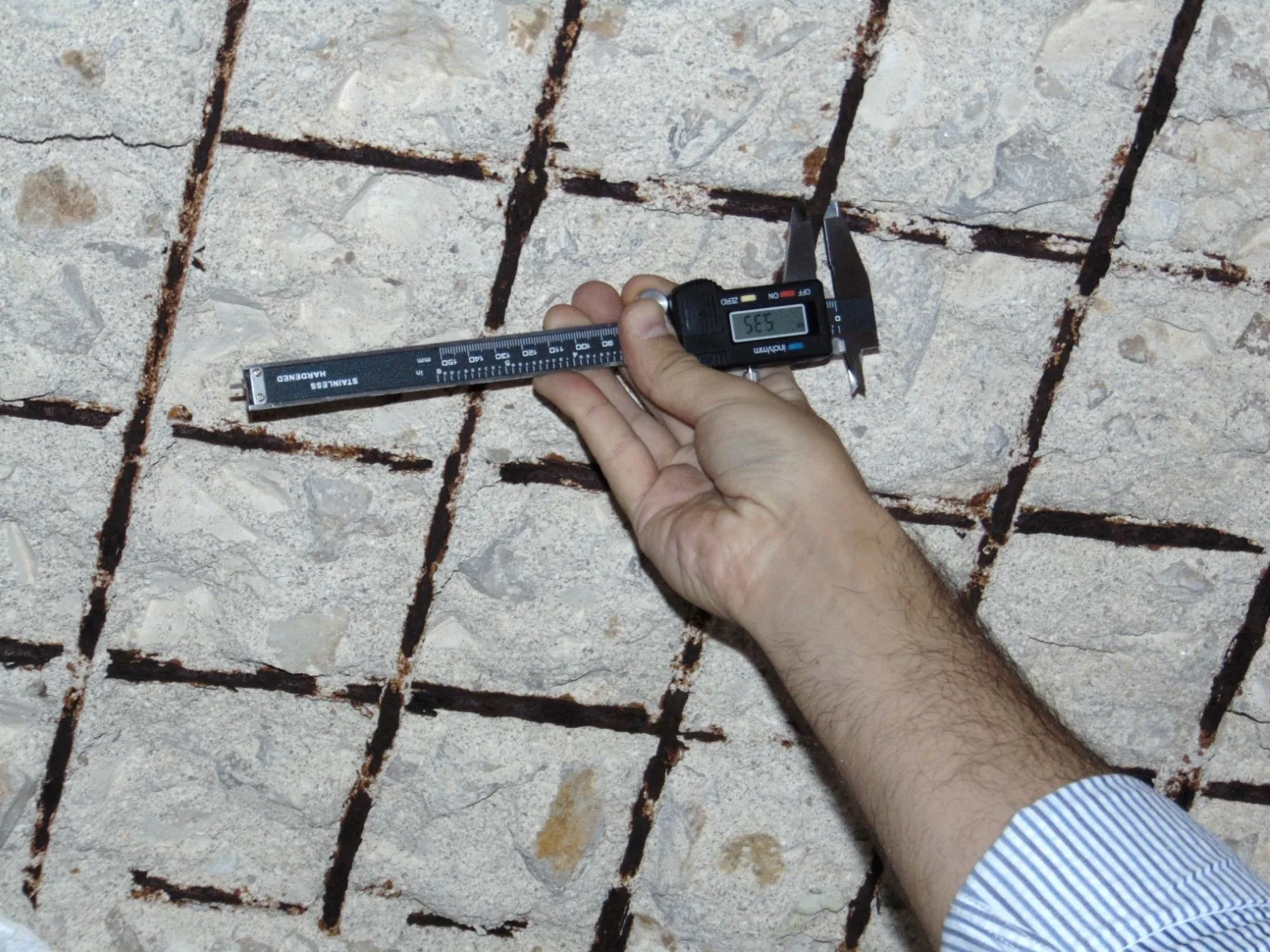 Image 4 from the structural survey gallery.