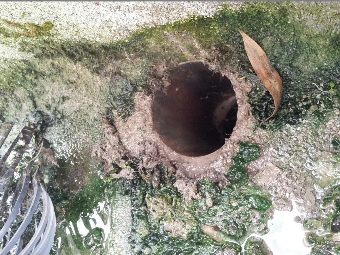 Noticia 1 - Limpeza de Caleiras e Algerozes